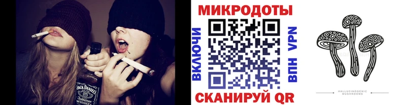 закладка  Саратов  Псилоцибиновые грибы прущие грибы 